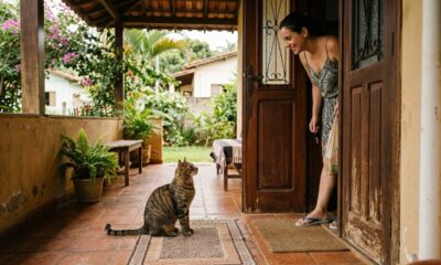 Nem só pelo rosto, nem por acaso: como gatos reconhecem seus donos na rotina da casa