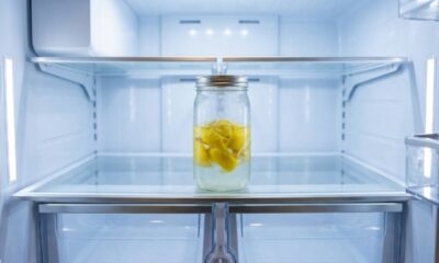 Colocar um frasco com cascas de limão e álcool na geladeira: para que serve e quando fazer isso