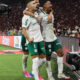 Foto: Divulgação/Palmeiras