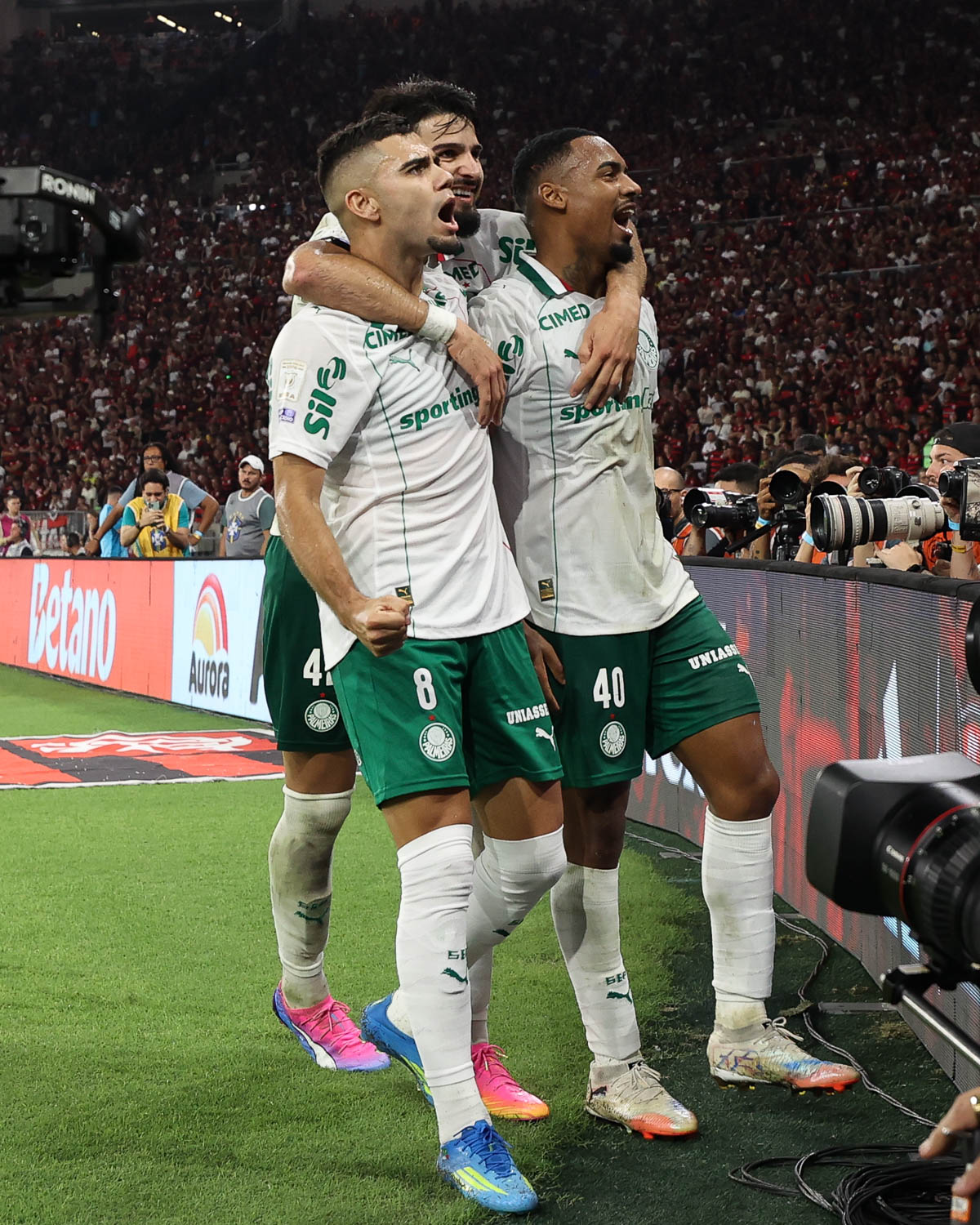Foto: Divulgação/Palmeiras