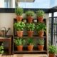 Como montar uma horta pequena em casa usando vasos simples e pouco espaço disponível