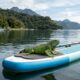 Iguana nada até praticante de stand-pp paddle e busca ajuda em cena inusitada