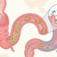 A fruta rica em fibras que pode ajudar o intestino a funcionar sem complicação