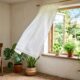 Adeus cheiro de casa fechada: o método simples que renova o ambiente sem precisar reformar