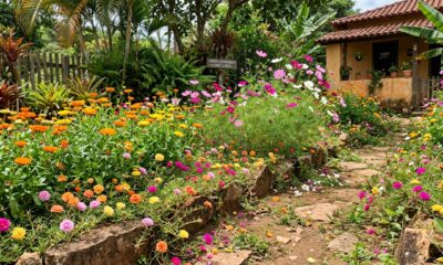 5 plantas que se reproduzem sozinhas e enchem o jardim de cor sem esforço nenhum
