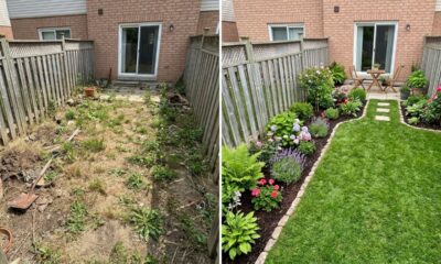 Como turbinar seu jardim em 1 semana com mudanças simples que transformam o visual rapidamente