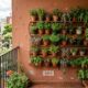 Como fazer jardim vertical em muro, varanda ou corredor externo pequeno