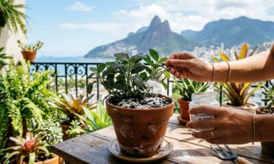 Jogar bicarbonato de sódio no jardim e nos vasos: para que serve e por que é recomendado