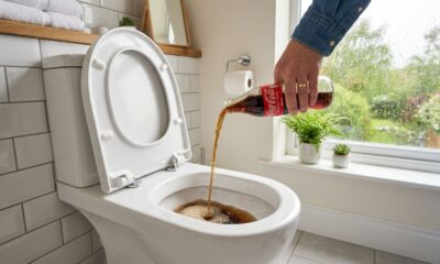 Jogar refrigerante de cola no vaso sanitário: para que serve e quando é recomendado