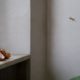 Casca de ovo para espantar lagartixa? Entenda por que esse método simples ficou tão popular