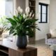 A planta para sala e quarto que também vai bem no banheiro e deixa tudo mais elegante