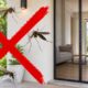 Adeus mosquitos: essa nova tendência é fácil de instalar em casa e funciona em todo lugar