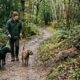 Um homem que passeava com seus cachorros viu um coelho correndo, e então entendeu a pressa