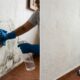 Sem usar alvejante ou detergente: como remover facilmente o mofo de paredes e tetos
