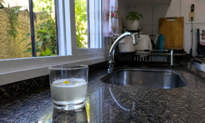 Adeus mosquito na cozinha: o truque caseiro que ajuda, mas precisa vir com limpeza do ambiente