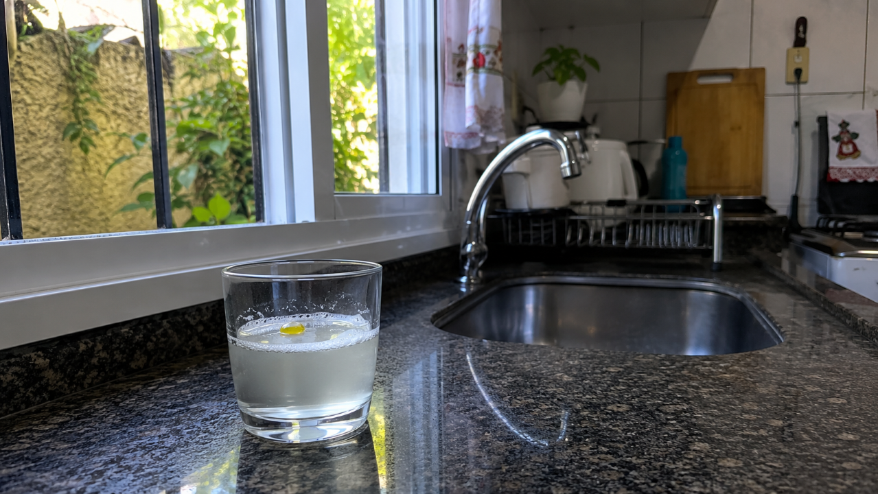 Adeus mosquito na cozinha: o truque caseiro que ajuda, mas precisa vir com limpeza do ambiente
