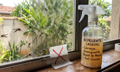 Experimente misturar 'essa água' com cerveja que sobrou e borrifar nas telas das janelas"... Pode ser usado como um repelente natural de mosquitos