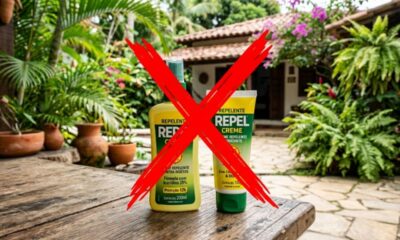 Nada de cremes ou sprays: o truque caseiro viral que muitas pessoas usam para se livrar dos mosquitos à noite