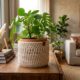 O cachepô de crochê para plantas que está deixando os cantinhos da casa muito mais charmosos