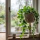 O suporte de plantas em crochê que fez muita gente olhar para a decoração de outro jeito