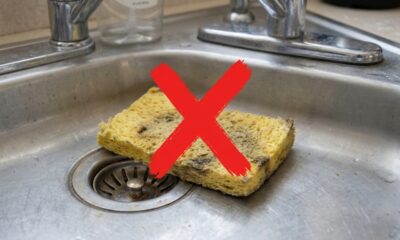 Adeus esponja velha: essa alternativa moderna ajuda na limpeza e ainda melhora o visual da pia