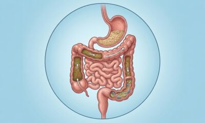 As frutas ricas em fibras para o intestino que ajudam o corpo a funcionar melhor