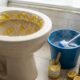 Por que limão e sal grosso são a combinação perfeita para limpar o vaso sanitário