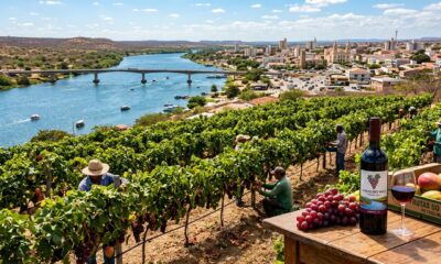 Uma cidade no sertão onde o mapa mostra "seca" que produz 60% das frutas do Brasil e tem um selo de vinhos único no mundo