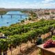 Uma cidade no sertão onde o mapa mostra "seca" que produz 60% das frutas do Brasil e tem um selo de vinhos único no mundo