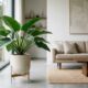 A planta Pacová conquistou arquitetos de interiores pelo efeito elegante que causa nos ambientes