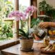 Por que colocar casca de banana no vaso da orquídea: o segredo para floração intensa