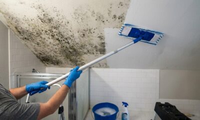 Como tirar mofo do teto sem escada e sem produto caro: o método que encanadores não contam
