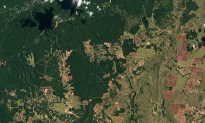 Satélites e inteligência artificial revelam degradação alarmante entre Amazônia e Cerrado