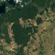Satélites e inteligência artificial revelam degradação alarmante entre Amazônia e Cerrado