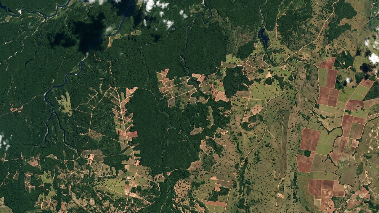 Satélites e inteligência artificial revelam degradação alarmante entre Amazônia e Cerrado