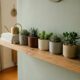 Decoração com suculentas deixa ambientes pequenos mais verdes com vasos baixos e discretos