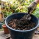 A mistura caseira que deixa a terra mais solta e ajuda as plantas a crescerem melhor