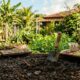 Como preparar a terra para receber sementes e ajudar suas plantas a nascerem mais fortes