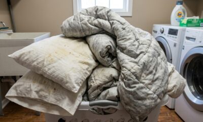 Como limpar travesseiros e edredom sem máquina: o truque simples que renova a cama em poucas horas