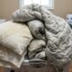 Como limpar travesseiros e edredom sem máquina: o truque simples que renova a cama em poucas horas