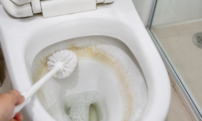 Adeus crosta no vaso: o método barato que ajuda a remover manchas sem usar química pesada