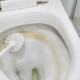 Adeus crosta no vaso: o método barato que ajuda a remover manchas sem usar química pesada