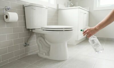 Borrifar vinagre ao redor do vaso sanitário: por que é recomendado e para que serve
