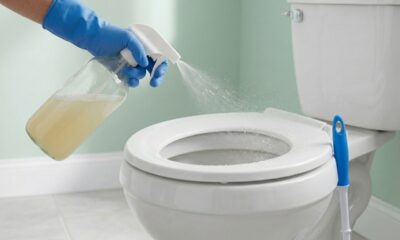 Sem água sanitária nem produto caro: o truque caseiro para limpar o banheiro rapidamente