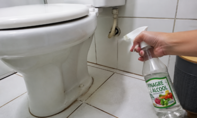Adeus cheiro ruim no banheiro: esse truque com vinagre ajuda na limpeza do vaso sanitário