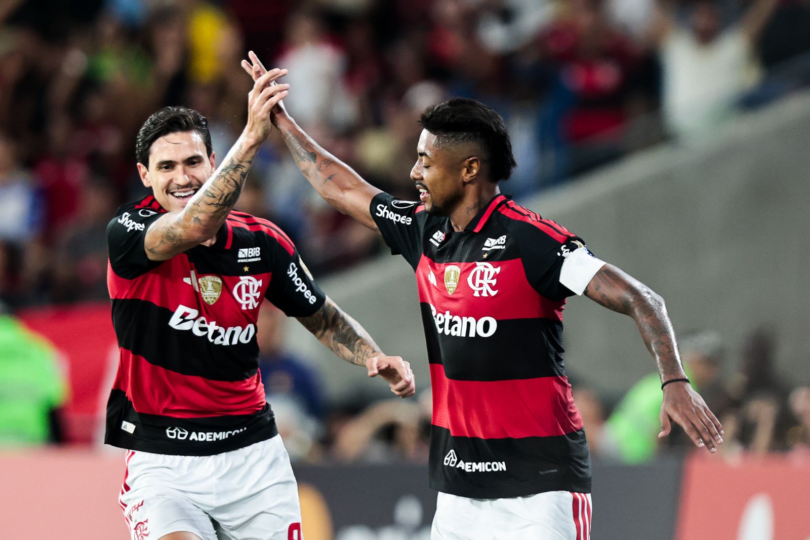 Foto: Gilvan de Souza / Flamengo