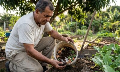 Homem ajoelhado em jardim, segurando balde com restos orgânicos e cascas de ovo.