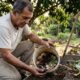 Homem ajoelhado em jardim, segurando balde com restos orgânicos e cascas de ovo.