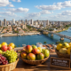 No sertão nordestino, essa cidade produz 60% das frutas do Brasil e ganhou o selo de vinhos único no mundo