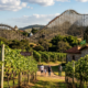 O pedacinho da Itália no Brasil ficou famoso por abrigar a maior montanha-russa de madeira da América Latina